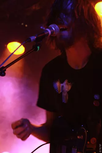 Birdpen 254