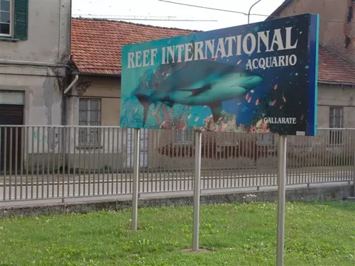 Sortie en Italie