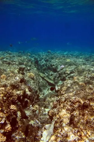 Sharm el Sheikh