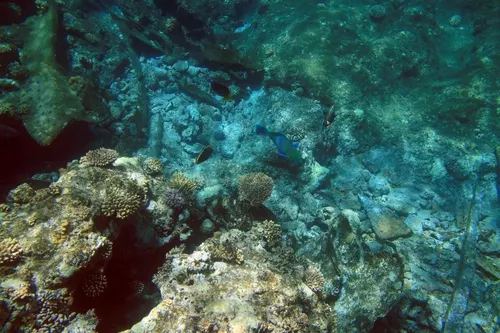 Sharm el Sheikh