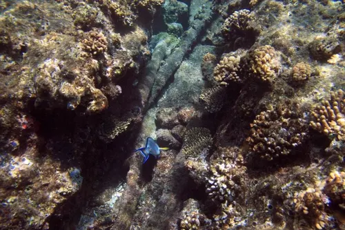 Sharm el Sheikh