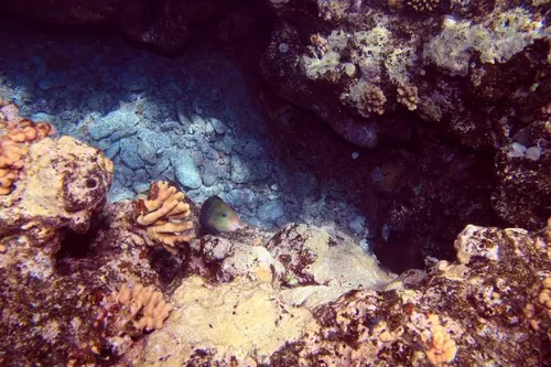 Sharm el Sheikh