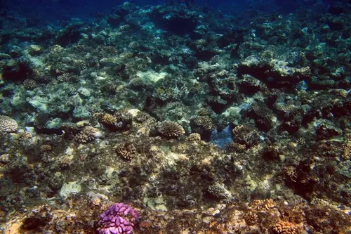 Sharm el Sheikh