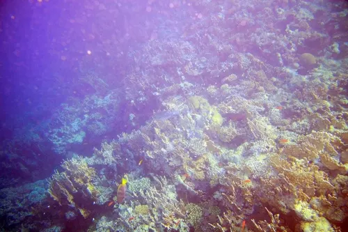 Sharm el Sheikh