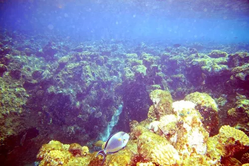 Sharm el Sheikh