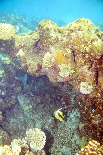 Sharm el Sheikh