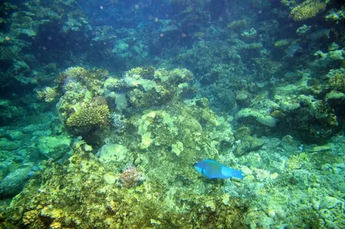 Sharm el Sheikh