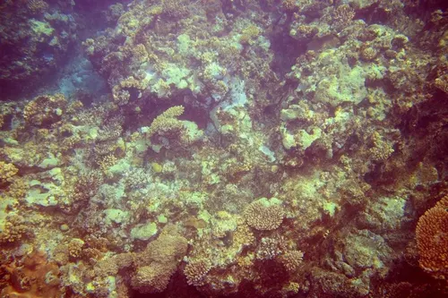 Sharm el Sheikh