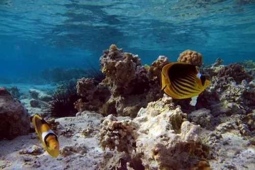 Sharm el Sheikh