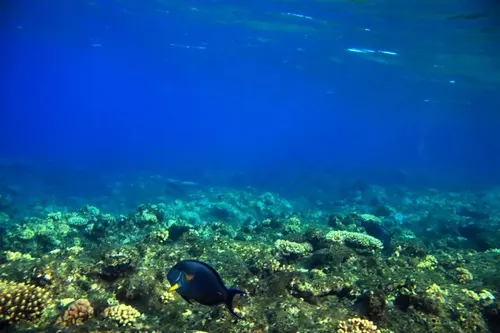 Sharm el Sheikh
