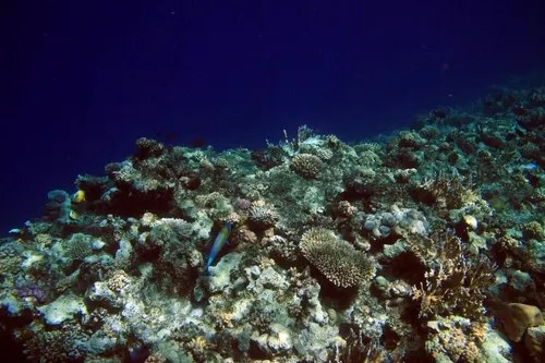 Sharm el Sheikh