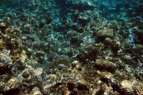 Sharm el Sheikh