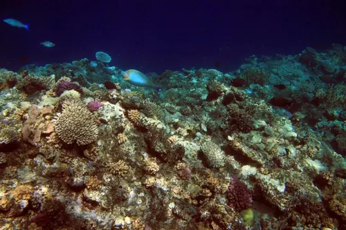 Sharm el Sheikh