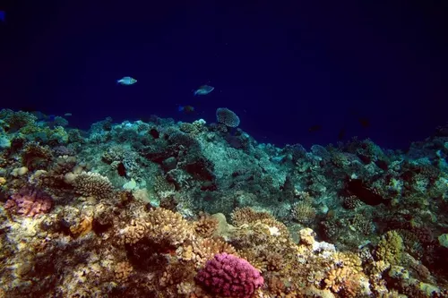 Sharm el Sheikh