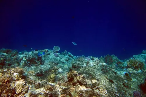 Sharm el Sheikh