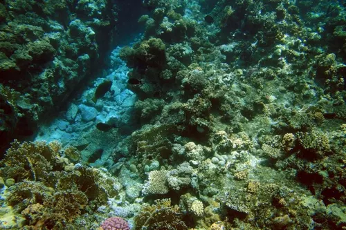 Sharm el Sheikh