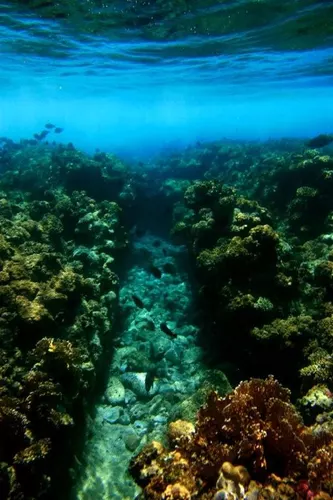 Sharm el Sheikh