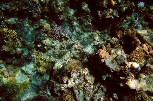 Sharm el Sheikh