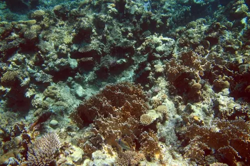 Sharm el Sheikh