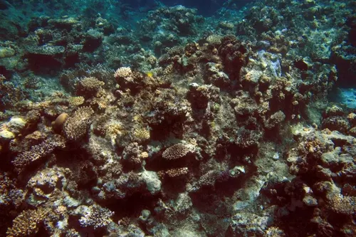 Sharm el Sheikh