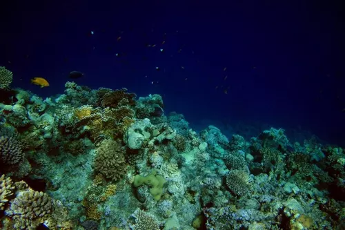 Sharm el Sheikh