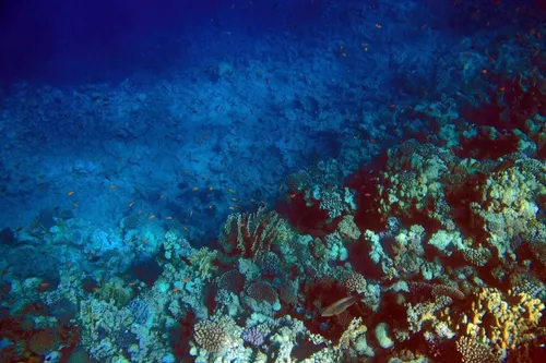 Sharm el Sheikh