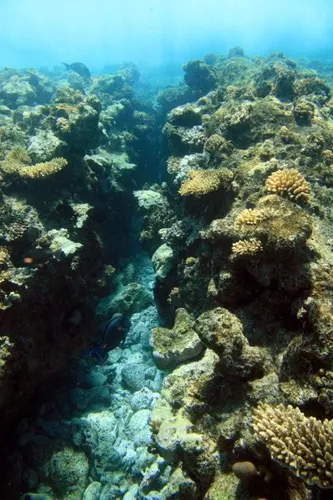 Sharm el Sheikh