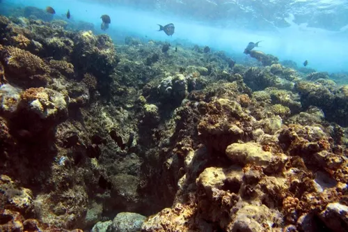 Sharm el Sheikh