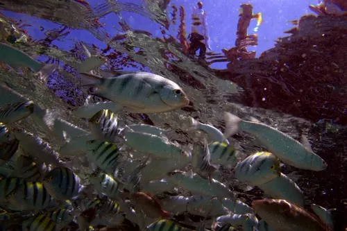 Sharm el Sheikh