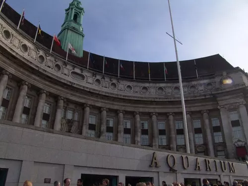 Aquarium de Londres