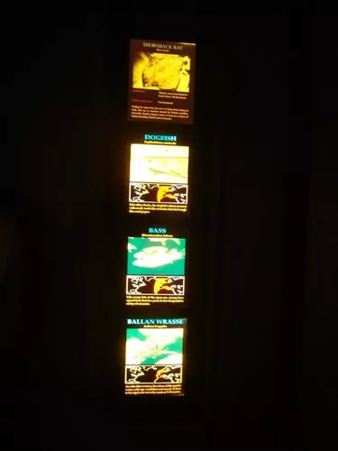 Aquarium de Londres