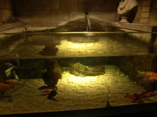 Aquarium de Londres
