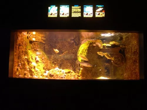 Aquarium de Londres