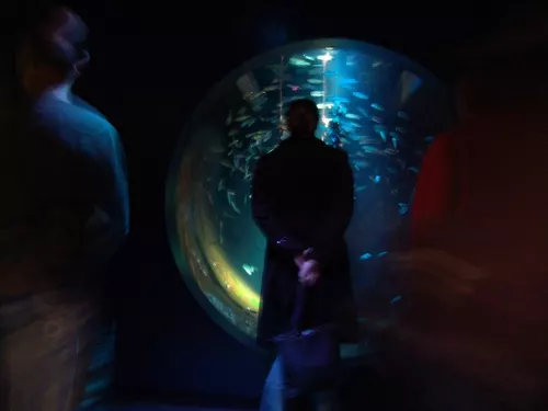 Aquarium de Londres