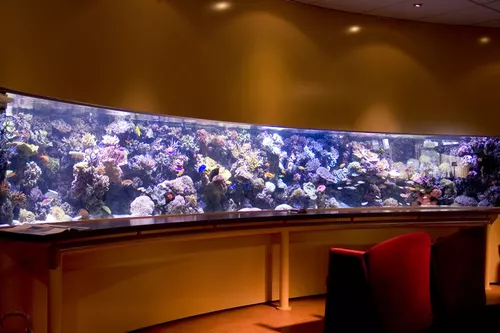 OHC Vlaardingen  8000 litres