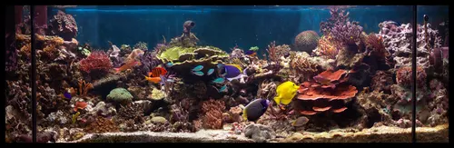 aqua octobre