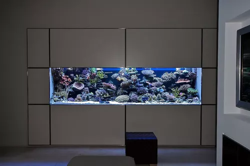 reefkeeper aout 06