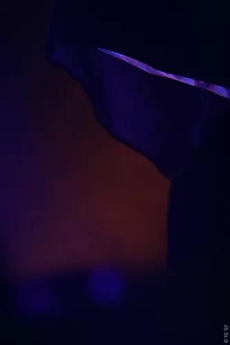 Miss Kittin & The Hacker 045