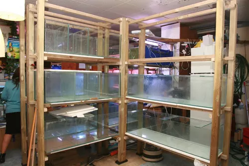 Aquari'Home 054