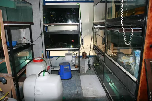 Aquari'Home 009