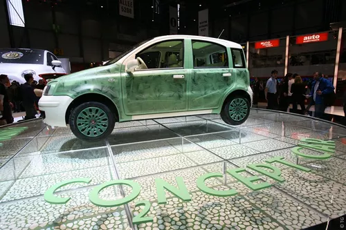 Fiat (5)