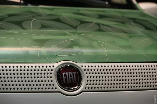 Fiat (6)